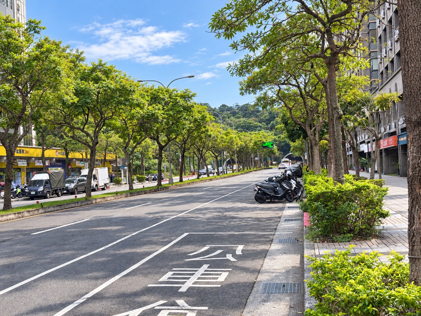 民權東路六段林蔭大道